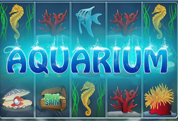 Aquarium slot