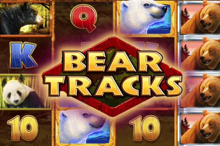 Bear Tracks slot