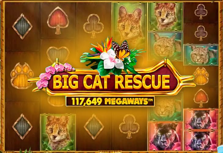 Big Cat Rescue MegaWays slot