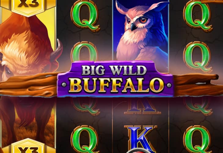 Big Wild Buffalo slot