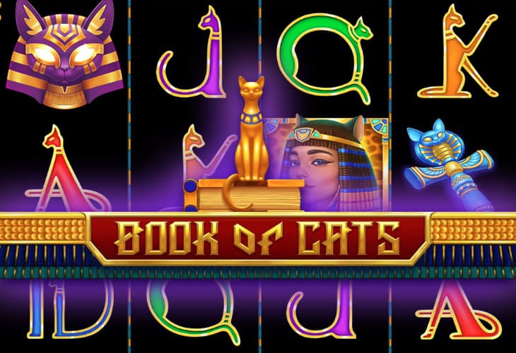Book Of Cats slot