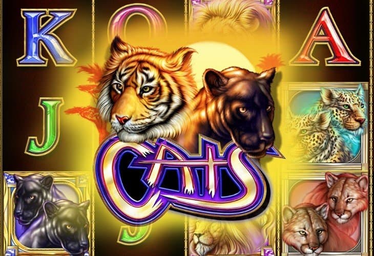 Cats slot