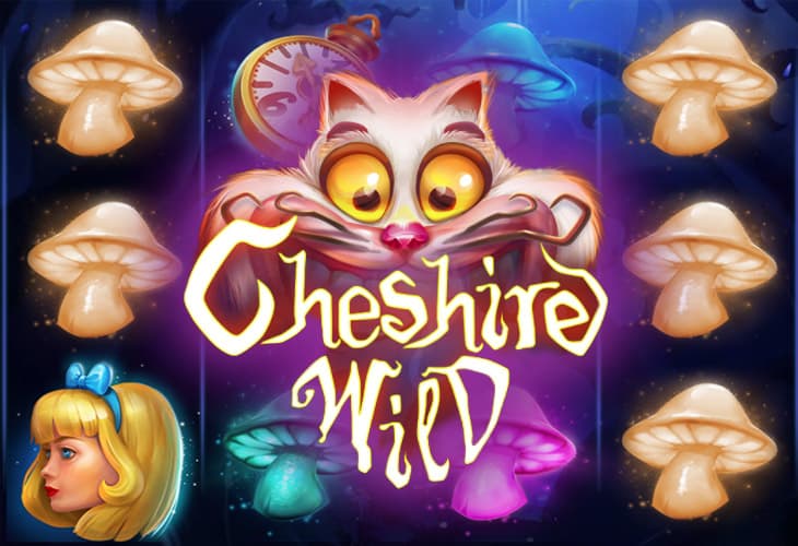 Cheshire Wild slot