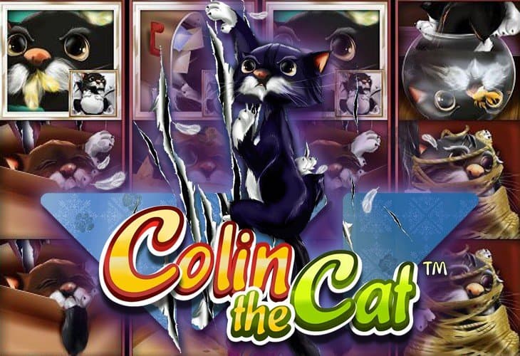 Colin the Cat slot