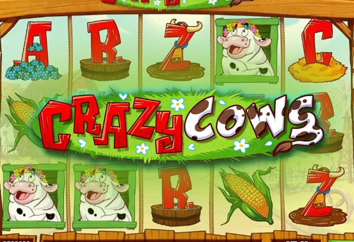 Crazy Cows slot
