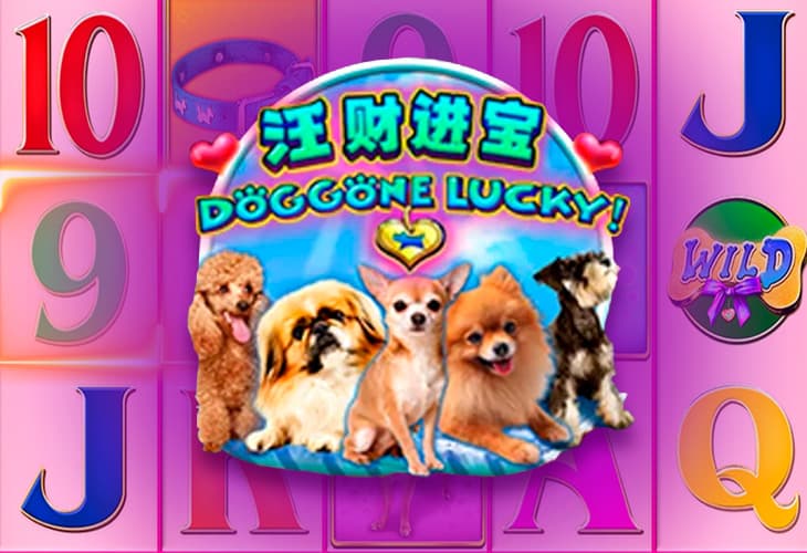 Doggone Lucky! slot