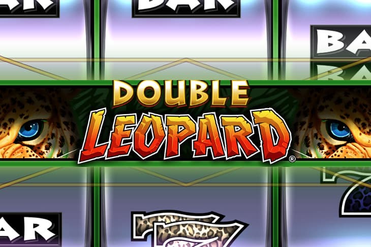 Double Leopard slot