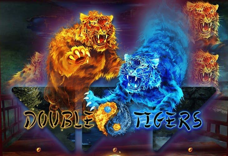 Double Tigers slot
