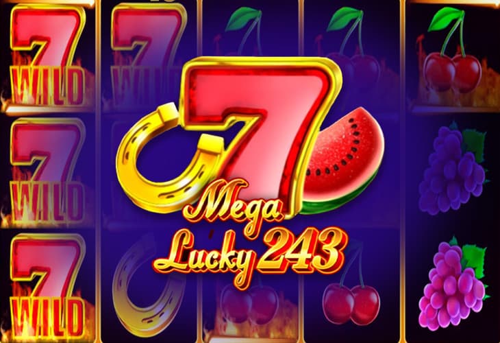 Mega Lucky 243 slot
