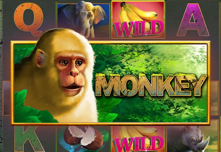 Monkey slot