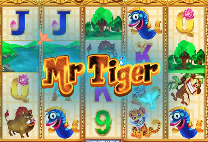 Mr Tiger slot