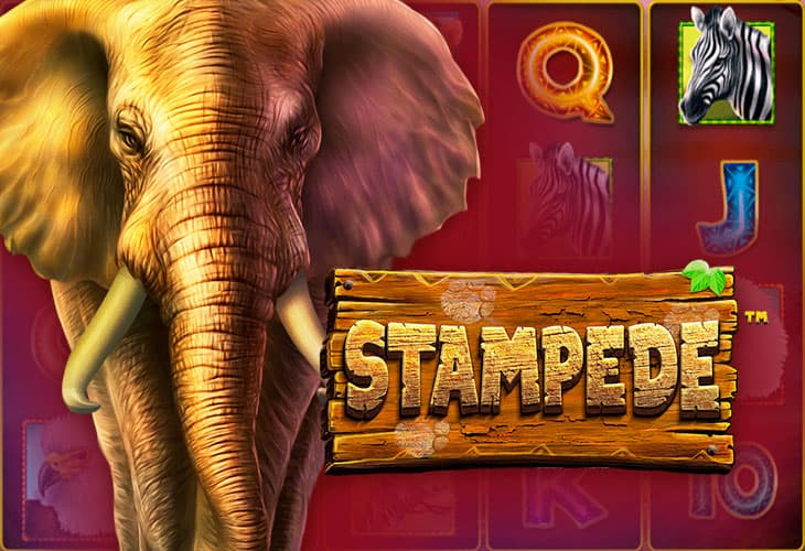 Stampede slot