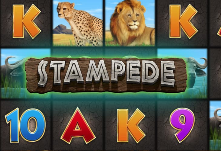 Stampede slot