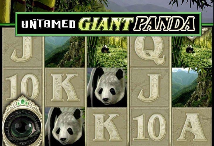 Untamed Giant Panda slot