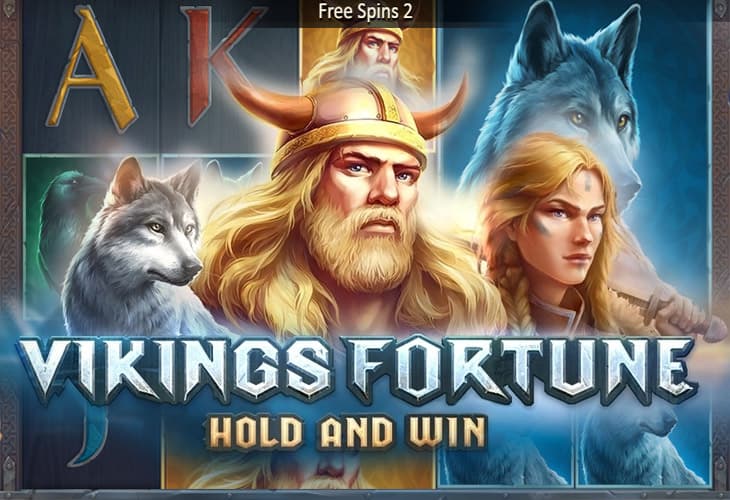 Vikings Fortune: Hold and Win slot