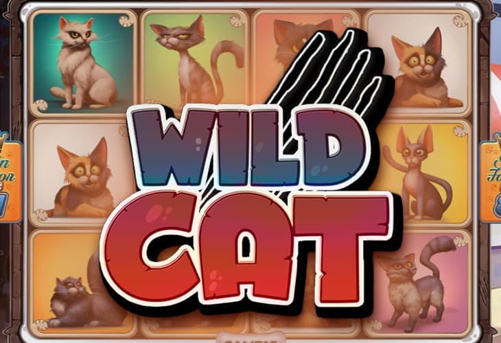 Wild Cat slot