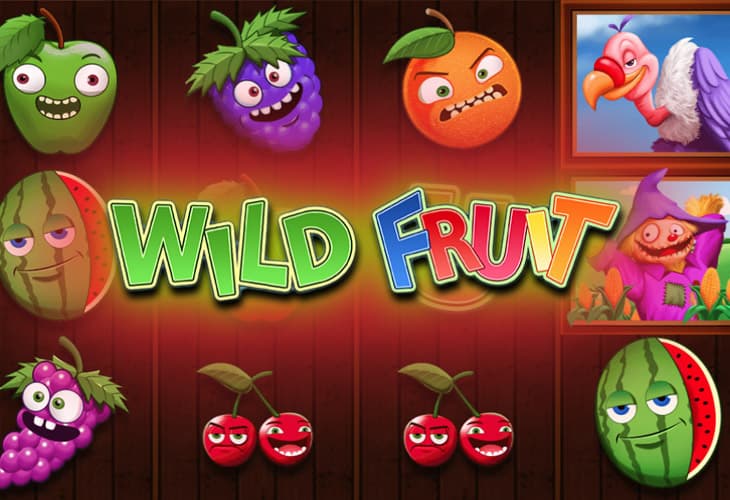 Wild Fruit slot