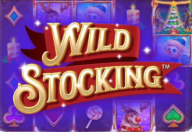 Wild Stocking slot