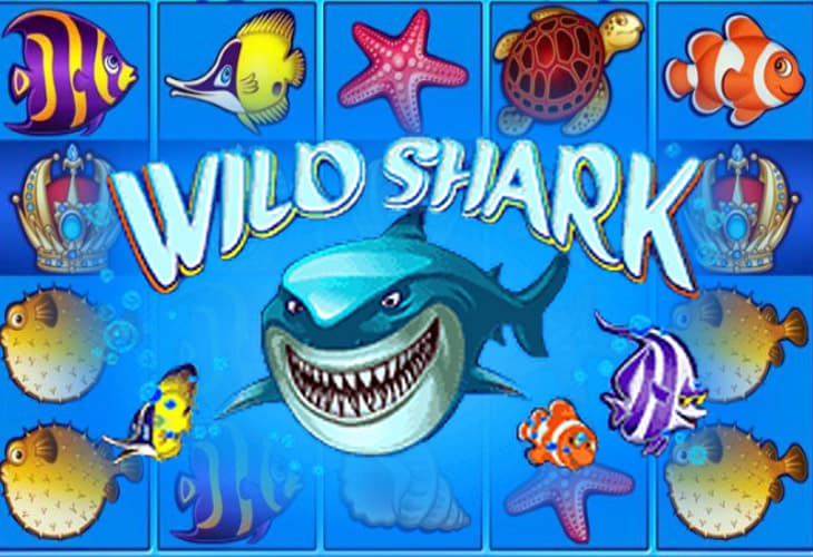 Wild Shark slot