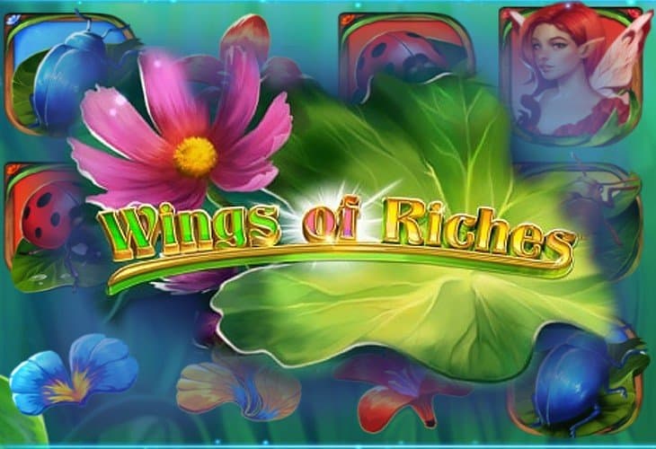 Wings of Riches slot