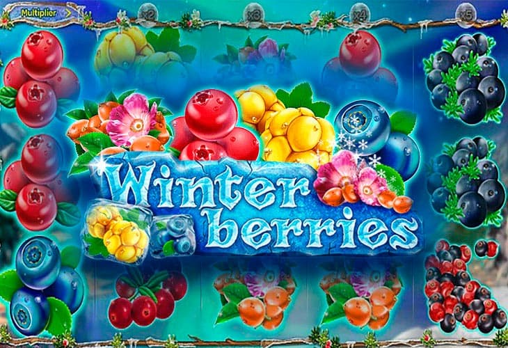 Winterberries slot