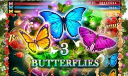 3 Butterflies