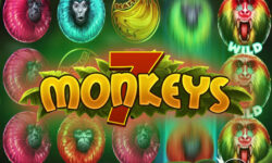 7 Monkeys
