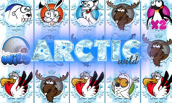Arctic Wild
