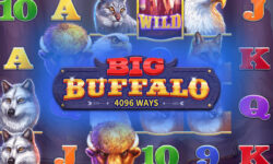 Big Buffalo