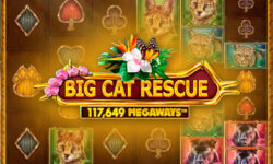Big Cat Rescue MegaWays