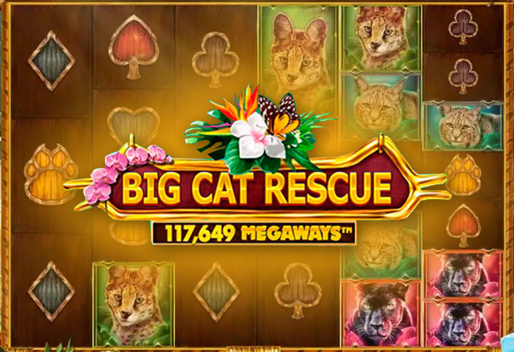 Big Cat Rescue MegaWays Slot Game Screenshot