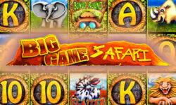 Big Game Safari