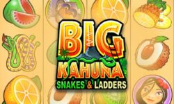 Big Kahuna Snakes & Ladders