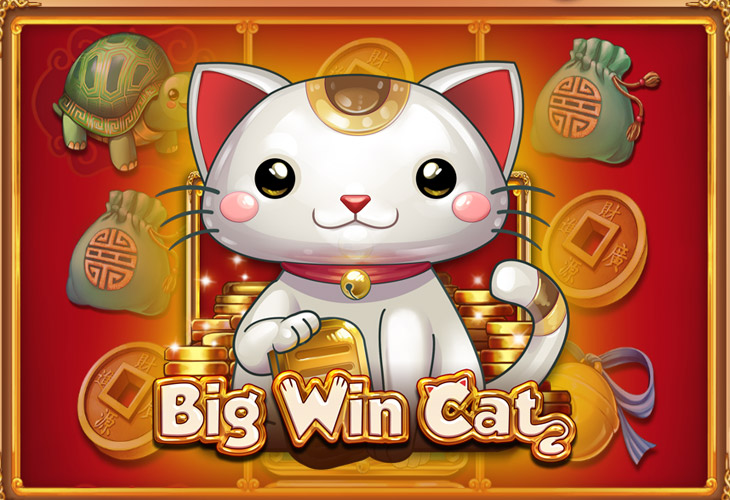 Big Win Cat Slot Game Screenshot