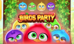 Birds Party
