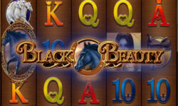 Black Beauty