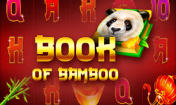 Book of Bamboo