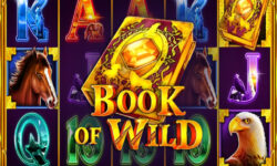Book of Wild