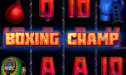 Boxing Champ