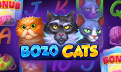 Bozo Cats