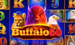 Buffalo 50