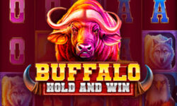 Buffalo Hold and Win