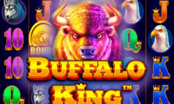 Buffalo King