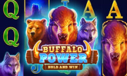 Buffalo Power: Hold and Win