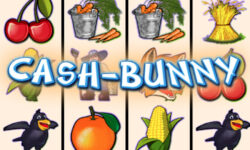 Cash Bunny