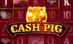 Cash Pig