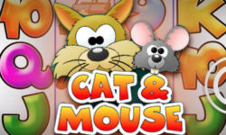 Cat and Mouse