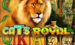 Cats Royal