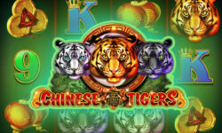 Chinese Tigers