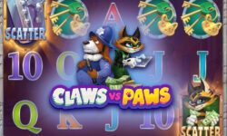 Claws vs Paws